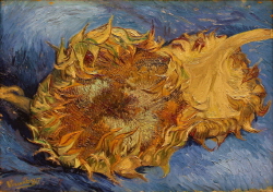 (명화) MK01-191 빈센트 반 고흐 (Vincent van Gogh)