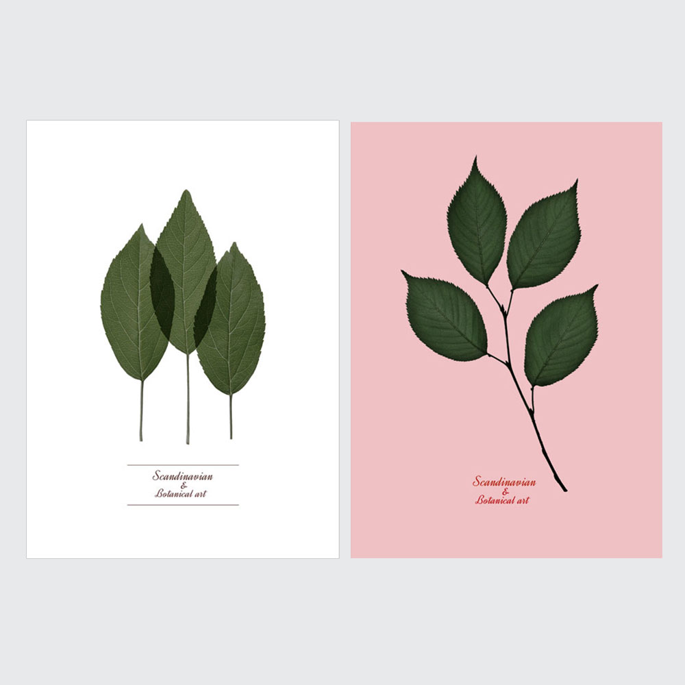 (1+1/2장1set)북유럽 식물 보태니컬 인테리어용 포스터 보타닉아트 PY02-033