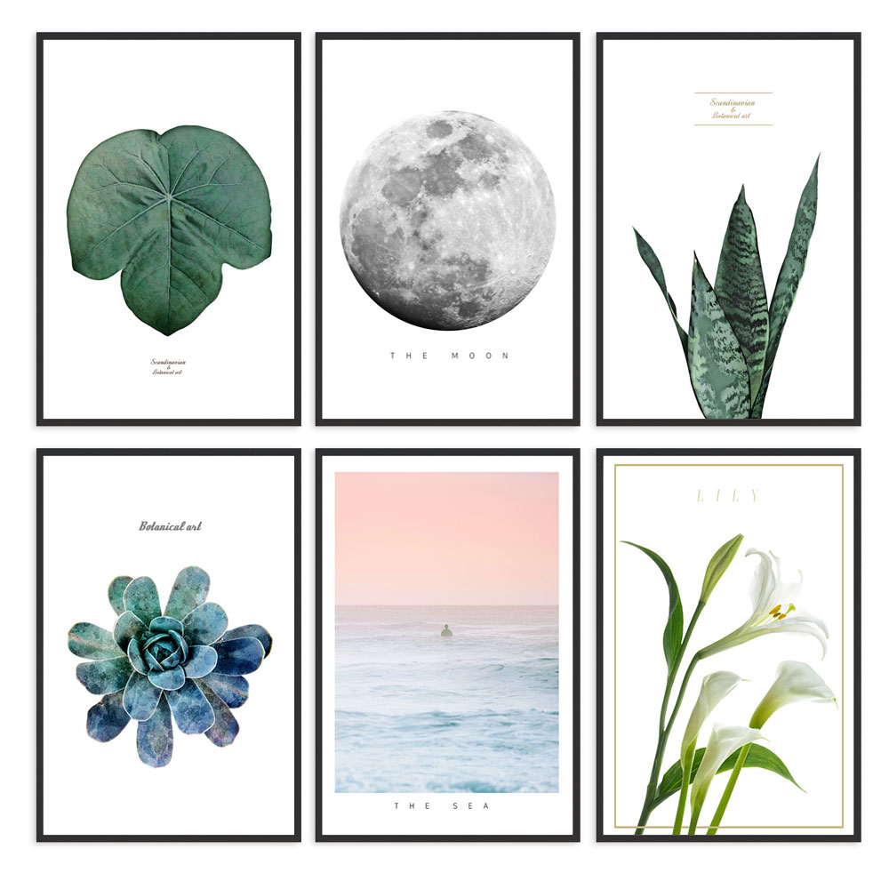 (1+1/2장1set)보타닉 식물 트로피컬 인테리어 포스터 10종